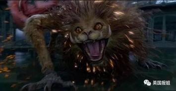 神奇动物在哪里 （国语版）,揭秘神奇动物在哪里的奇幻之旅